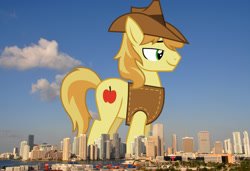 Size: 2048x1399 | Tagged: safe, artist:frownfactory, edit, editor:jaredking779, imported from derpibooru, braeburn, earth pony, pony, clothes, florida, giant pony, giant/macro earth pony, hat, highrise ponies, irl, macro, male, mega giant, miami, photo, ponies in real life, smiling, solo, stallion, vest