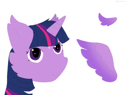 Size: 2224x1668 | Tagged: safe, artist:nightsongthewarrior, imported from derpibooru, twilight sparkle, alicorn, pony, bust, cheek fluff, female, mare, redesign, solo, twilight sparkle (alicorn), wings