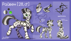 Size: 3190x1865 | Tagged: safe, artist:alrumoon_art, imported from derpibooru, oc, oc only, oc:rayven, pony, zebra, male, reference sheet, solo, zebra oc