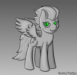 Size: 1133x1099 | Tagged: safe, artist:scarletdoodle, imported from derpibooru, oc, oc only, oc:swift apex, pegasus, gradient background, grayscale, green eyes, male, monochrome, pegasus oc, solo, stallion