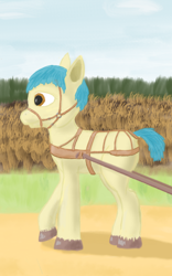 Size: 540x865 | Tagged: safe, artist:mechanic31, imported from derpibooru, oc, oc only, earth pony, pony, dock, halter, harness, multiple variants, pony pulls the wagon, pulling, raised hoof, solo, tack, tail