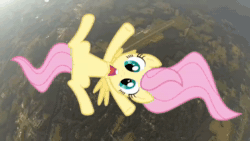 Size: 1280x720 | Tagged: safe, imported from derpibooru, fluttershy, smile hd, animated, falling, screaming, webm
