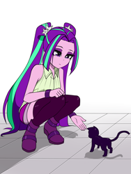 Size: 1500x2000 | Tagged: safe, artist:nekojackun, imported from derpibooru, aria blaze, cat, equestria girls, bare shoulders, clothes, female, holding out hand, kitten, shorts, skindentation, sleeveless, socks, solo, squatting, thigh highs, vest