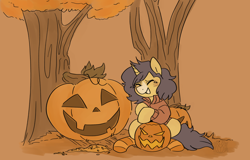 Size: 3000x1920 | Tagged: safe, artist:2k.bugbytes, imported from derpibooru, oc, oc only, oc:flash reboot, pony, unicorn, clothes, eyes closed, female, grin, halloween, holiday, horn, jack-o-lantern, jacket, mare, pumpkin, sitting, smiling, socks, solo, tree, unicorn oc