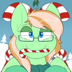 Size: 2000x2000 | Tagged: safe, artist:2k.bugbytes, imported from derpibooru, oc, oc only, oc:sapphie, pegasus, pony, bags under eyes, bust, candy, candy cane, christmas, clothes, commission, female, food, freckles, glasses, holiday, holly, holly mistaken for mistletoe, lidded eyes, looking at you, mare, mouth hold, pegasus oc, portrait, scarf, smiling, snow, snowfall, solo, two toned mane, ych result