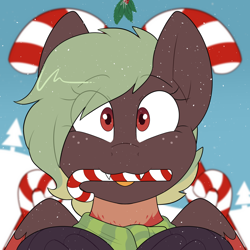 Size: 2000x2000 | Tagged: safe, artist:2k.bugbytes, imported from derpibooru, oc, oc only, oc:terracotta, hippogriff, bust, candy, candy cane, christmas, clothes, commission, cute, cute little fangs, fangs, female, food, freckles, hippogriff oc, holiday, holly, holly mistaken for mistletoe, looking at you, markings, mouth hold, portrait, scarf, smiling, smiling at you, snow, snowfall, solo, tongue out, two toned mane, ych result