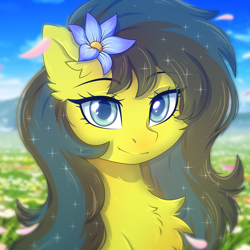 Size: 2500x2500 | Tagged: safe, artist:fluffywhirlpool, imported from derpibooru, oc, oc only, oc:star wormwood, pegasus, pony, blue eyes, bust, chest fluff, commission, cute, ear fluff, eye clipping through hair, eyebrows, eyebrows visible through hair, female, flower, flower field, flower in hair, looking at you, mare, pegasus oc, portrait, sky, sky background, smiling, smiling at you, solo, two toned mane