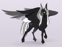 Size: 2000x1500 | Tagged: safe, artist:dementra369, imported from derpibooru, oc, oc only, oc:midnight serenity, pegasus, pony, chest fluff, concave belly, ear fluff, fangs, hoof fluff, hooves, large wings, partially open wings, pegasus oc, raised hoof, signature, slim, solo, sternocleidomastoid, thin, turned head, unshorn fetlocks, wings