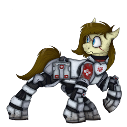 Size: 2300x2300 | Tagged: safe, artist:molars, imported from derpibooru, oc, oc only, oc:dusty heartwood, earth pony, pony, fallout equestria, apoc, armor, blue eyes, brown mane, female, full body, mare, medic, mud, plating, raised leg, scar, shading, simple background, solo, transparent background, weathering, worried