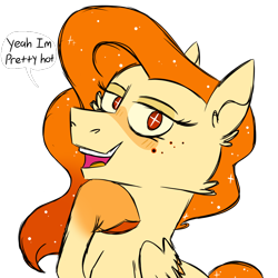 Size: 900x900 | Tagged: safe, artist:fuckomcfuck, imported from derpibooru, oc, oc only, oc:sun, pegasus, pony, blushing, ethereal mane, freckles, pegasus oc, simple background, solo, speech bubble, transparent background, wingding eyes