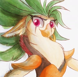 Size: 1984x1967 | Tagged: safe, artist:zidanemina, imported from derpibooru, captain celaeno, anthro, bird, parrot pirates, bust, eye scar, facial scar, female, ornithian, pirate, portrait, scar, signature, simple background, smiling, solo, traditional art, watercolor painting, white background