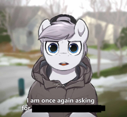 Size: 1500x1380 | Tagged: safe, artist:selenophile, imported from derpibooru, oc, oc:seleno, pegasus, pony, baseball cap, bernie sanders, cap, dialogue, exploitable meme, hat, looking at you, meme, pegasus oc, text