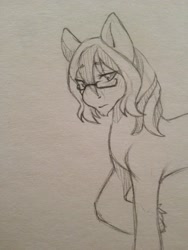 Size: 960x1280 | Tagged: safe, artist:sinclair2013, imported from derpibooru, oc, earth pony, pony, earth pony oc, glasses, looking at you, male, monochrome, simple background, solo, stallion, traditional art