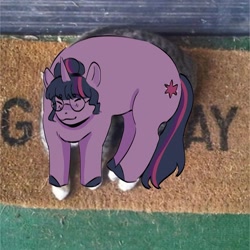 Size: 2048x2048 | Tagged: safe, artist:cardigansandcats, imported from derpibooru, twilight sparkle, pony, unicorn, equestria girls, eyes closed, glasses, lying down, photo, ponified animal photo, smiling, solo