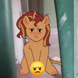 Size: 2048x2048 | Tagged: safe, artist:cardigansandcats, imported from derpibooru, sunset shimmer, pony, unicorn, equestria girls, blushing, censored, cute, emoji, frown, grumpy, looking at you, photo, ponified animal photo, shimmerbetes, sunset shimmer is not amused, unamused