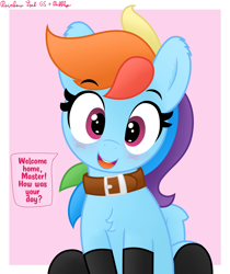 Size: 3016x3589 | Tagged: safe, artist:pabbley, artist:rainbowšpekgs, imported from derpibooru, rainbow dash, pegasus, pony, bronybait, chest fluff, clothes, collar, cute, dashabetes, female, looking at you, mare, master, pet-dash, pony pet, smiling, smiling at you, socks, solo, stockings, talking to viewer, thigh highs