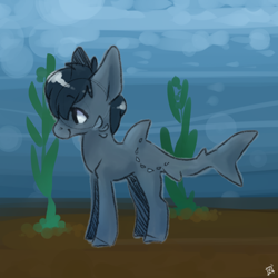 Size: 1280x1280 | Tagged: safe, artist:sinclair2013, imported from derpibooru, oc, oc only, original species, shark, shark pony, bubble, dorsal fin, fin, fish tail, ocean, seaweed, smiling, solo, tail, underwater, water