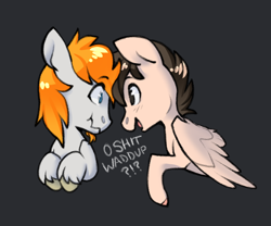 Size: 1050x875 | Tagged: safe, artist:sinclair2013, imported from derpibooru, oc, oc only, oc:sinclair, pegasus, pony, duo, looking at each other, looking at someone, male, simple background, stallion, vulgar