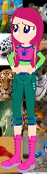 Size: 163x598 | Tagged: safe, artist:selenaede, artist:unicorngirl06, imported from derpibooru, big cat, bird, blue jay, human, tiger, equestria girls, animal, barely eqg related, boots, clothes, crossover, equestria girls style, equestria girls-ified, hand on hip, high heel boots, high heels, pants, roxy (winx club), shirt, shoes, smiling, winx club