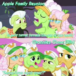 Size: 3072x3072 | Tagged: safe, edit, edited screencap, editor:itsmgh1203, imported from derpibooru, screencap, apple rose, auntie applesauce, goldie delicious, granny smith, earth pony, pony, apple family reunion, grannies gone wild, season 3, season 8, spoiler:s08, eyes closed, female, hot air balloon, male, mare, open mouth, open smile, smiling, stallion, text, twinkling balloon