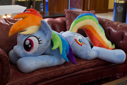 Size: 4846x3231 | Tagged: safe, artist:azgchip, imported from derpibooru, rainbow dash, pegasus, pony, absurd file size, couch, cute, dashabetes, female, high res, irl, life size, lying down, mare, photo, plushie, prone, recycle bin, solo, sploot