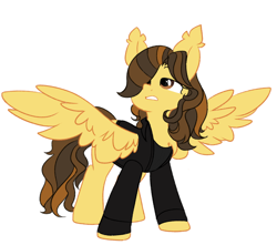 Size: 1340x1182 | Tagged: safe, artist:thieftea, imported from derpibooru, pegasus, pony, chest fluff, clothes, commission, ear fluff, hair over one eye, jacket, lidded eyes, long mane, long sleeves, long tail, looking up, male, ponified, simple background, solo, spread wings, stallion, standing, tail, the academy is..., trap, white background, william beckett, wings