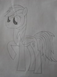Size: 3120x4208 | Tagged: safe, artist:xuf, imported from derpibooru, rainbow dash, pegasus, pony, dilated pupils, monochrome, raised hoof, solo, traditional art