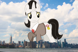 Size: 2048x1365 | Tagged: safe, artist:starryshineviolet, edit, editor:jaredking779, imported from derpibooru, medallion gold, pony, unicorn, background pony, giant pony, giant unicorn, highrise ponies, irl, looking at you, macro, male, manhattan, mega giant, new york, new york city, photo, ponies in real life, smiling, solo, stallion, story included
