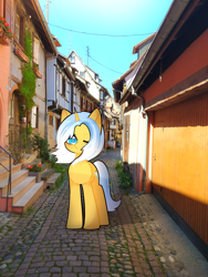 Size: 3000x4000 | Tagged: safe, artist:miwq, imported from derpibooru, oc, oc:aurore soleilevant, pony, unicorn, house, irl, looking at you, orange coat, photo, ponies in real life, solo, town