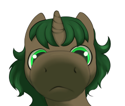 Size: 2600x2200 | Tagged: safe, artist:dumbwoofer, imported from derpibooru, oc, oc only, oc:pine shine, pony, unicorn, female, looking at you, mare, meme, simple background, snoofa, snoot, solo, transparent background