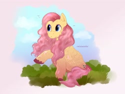 Size: 4000x3000 | Tagged: safe, artist:valeisaisabel1, imported from derpibooru, fluttershy, pegasus, pony, female, fluffy, folded wings, high res, looking at something, looking away, mare, outdoors, raised hoof, sitting, solo, sparkles, unshorn fetlocks, wings