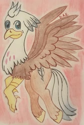 Size: 1576x2343 | Tagged: safe, artist:gracefulart693, imported from derpibooru, oc, oc only, oc:silver quill, hippogriff, hippogriff oc, solo, traditional art, unshorn fetlocks, wings