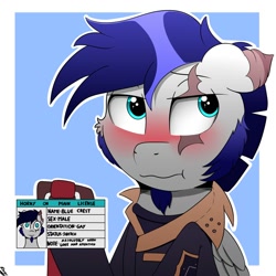 Size: 2000x2000 | Tagged: safe, artist:h3nger, imported from derpibooru, oc, oc only, oc:blue crest, pegasus, pony, blushing, eye scar, facial scar, horny on main, id card, male, pegasus oc, scar, simple background, solo