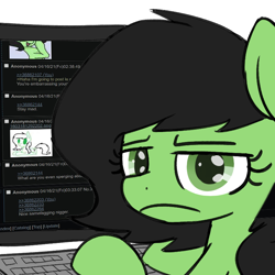 Size: 800x800 | Tagged: safe, edit, imported from derpibooru, oc, oc:filly anon, earth pony, 4chan, 4chan screencap, computer, earth pony oc, female, filly, keyboard, looking at you, racial slur, slur, unamused