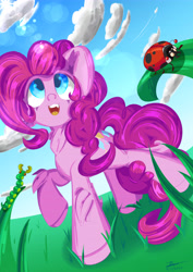Size: 4961x7016 | Tagged: safe, artist:hisp, derpibooru exclusive, imported from derpibooru, pinkie pie, earth pony, insect, ladybug, pony, blue eyes, chest fluff, cloud, female, grass, grass field, perspective, plane, solo