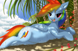 Size: 3072x2004 | Tagged: safe, artist:neoshrek, imported from derpibooru, rainbow dash, pegasus, pony, belly, belly button, eye clipping through hair, eyebrows, eyebrows visible through hair, female, folded wings, high res, looking at you, lying down, mare, open mouth, open smile, palm tree, prone, smiling, smiling at you, solo, tree, wet, wings