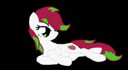 Size: 920x505 | Tagged: safe, artist:leafywolf, imported from derpibooru, oc, oc only, oc:dragon fruit, earth pony, pony, black background, earth pony oc, eyelashes, female, lying down, mare, prone, simple background, solo