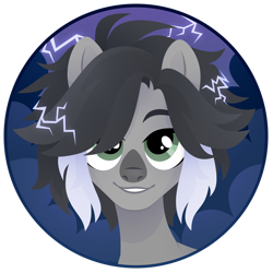 Size: 1920x1920 | Tagged: safe, artist:kabuvee, imported from derpibooru, oc, oc only, pony, bust, female, lightning, mare, portrait, simple background, solo, transparent background