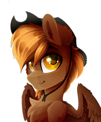 Size: 2500x3000 | Tagged: safe, artist:rainbowfire, imported from derpibooru, oc, oc only, oc:calamity, pegasus, pony, fallout equestria, chest fluff, cowboy hat, cute, falling, grin, hat, looking at you, male, pegasus oc, simple background, smiling, solo, spread wings, stallion, transparent background, wings