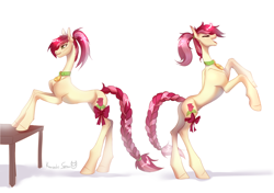 Size: 3264x2298 | Tagged: safe, artist:satan, imported from derpibooru, roseluck, pony, bow, braid, collar, commission, commissioner:doom9454, concave belly, cute, hooves, leg band, leg strap, long legs, pony pet, ponytail, ribbon, rosepet, simple background, slim, solo, thin, white background