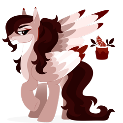 Size: 1920x1920 | Tagged: safe, artist:kabuvee, imported from derpibooru, oc, oc only, oc:altair, pegasus, pony, colored wings, male, multicolored wings, pegasus oc, simple background, solo, stallion, transparent background, wings