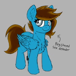 Size: 678x680 | Tagged: safe, artist:reddthebat, imported from derpibooru, oc, oc only, oc:penstroke, pegasus, pony, ankle monitor, chest fluff, female, folded wings, gray background, mare, simple background, solo, text, wings