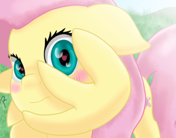 Size: 1380x1080 | Tagged: safe, artist:reinbou, imported from derpibooru, fluttershy, pegasus, pony, blushing, cute, heart, heart eyes, looking at you, shy, shyabetes, solo, wingding eyes