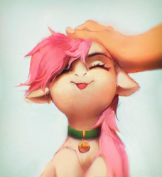 Size: 1709x1873 | Tagged: safe, artist:rvsd, imported from derpibooru, roseluck, human, pony, :p, behaving like a cat, collar, commission, commissioner:doom9454, cute, eyes closed, floppy ears, hand, human on pony petting, offscreen character, offscreen human, pet tag, petting, pony pet, rosepet, solo focus, tongue out