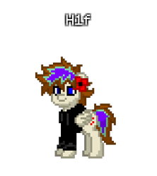 Size: 320x360 | Tagged: safe, imported from derpibooru, oc, oc only, oc:h1f, pegasus, pony, pony town, male, pegasus oc, simple background, solo, stallion, standing, transparent background