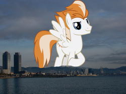 Size: 1024x768 | Tagged: safe, artist:chainchomp2 edits, edit, editor:jaredking779, imported from derpibooru, fire streak, pegasus, pony, background pony, barcelona, giant pegasus, giant pony, highrise ponies, irl, looking at you, macro, male, mega giant, photo, ponies in real life, smiling, solo, spain, spread wings, stallion, wings