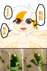 Size: 523x790 | Tagged: safe, imported from derpibooru, oc, pegasus, pony, chinese, kermit the frog, phone