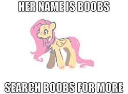 Size: 400x295 | Tagged: safe, artist:onionpwder, imported from derpibooru, fluttershy, pegasus, pony, blatant lies, caption, chest fluff, image macro, meme, simple background, solo, text, white background