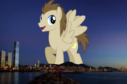 Size: 2048x1361 | Tagged: safe, artist:chainchomp2 edits, edit, editor:jaredking779, imported from derpibooru, crescent pony, mane moon, pegasus, pony, background pony, giant pegasus, giant pony, highrise ponies, hong kong, irl, macro, male, mega giant, photo, ponies in real life, solo, spread wings, stallion, wings