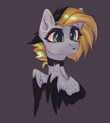 Size: 2372x2670 | Tagged: safe, artist:jsunlight, imported from derpibooru, oc, oc:tlen borowski, pegasus, pony, solo